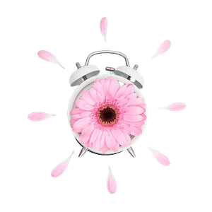 Combien de temps prend la conception d'un site internet ?